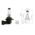 H10 ΛΑΜΠΑ ΑΛΟΓΟΝΟΥ 12v/42w, ΤΕΜΑΧΙΟ