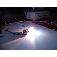 T10 ΛΑΜΠΑ ΑΛΟΓΟΝΟΥ 12V/5W PLATINUM WHITE, ΨΥΧΡΟ ΛΕΥΚΟ, ΖΕΥΓΑΡΙ T10 ΛΑΜΠΑ ΑΛΟΓΟΝΟΥ 12V/5W PLATINUM WHITE, ΨΥΧΡΟ ΛΕΥΚΟ, ΖΕΥΓΑΡΙ