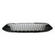 FORD FOCUS 14-18 ΜΑΣΚΑ (ΔΙΧΤΥΩΤΗ) ΜΕ ΧΡΩΜΙΟ ΠΛΑΙΣΙΟ 