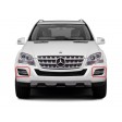 MERCEDES ML (W164) 2009 -11 ΔΙΧΤΥ ΠΡΟΦΥΛΑΚΤΗΡΑ ΕΜΠΡΟΣ (ΜΕ ΤΡΥΠΑ ΦΑΝΟΥ ΗΜΕΡΑΣ) - ΣΥΝΟΔΗΓΟΥ MERCEDES ML (W164) 2009 -11 ΔΙΧΤΥ ΠΡΟΦΥΛΑΚΤΗΡΑ ΕΜΠΡΟΣ (ΜΕ ΤΡΥΠΑ ΦΑΝΟΥ ΗΜΕΡΑΣ) - ΣΥΝΟΔΗΓΟΥ
